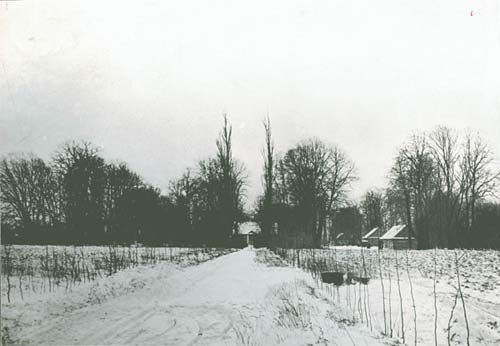 Дарога да сядзібы<br>здымак І. Аткінсона 1899 г.