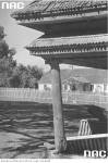 From the album of old pictures