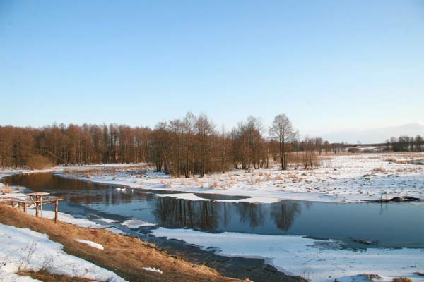r. Myszanka w pobliżu Jaroszukow (2010-03-08)