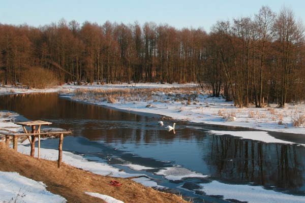 r. Myszanka w pobliżu Jaroszukow (2010-03-08)