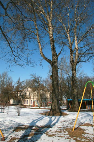 Dwór, widok od południa (2010-03-08)