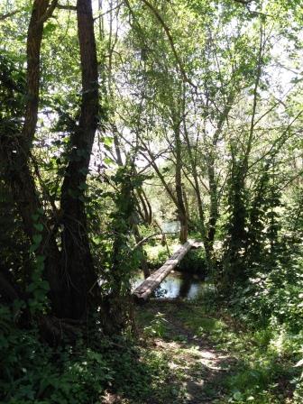 Мостик через р. Адров.