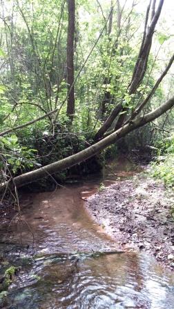 От названия ручья Пузыревка произошло название деревни Пузырево или наоборот :)