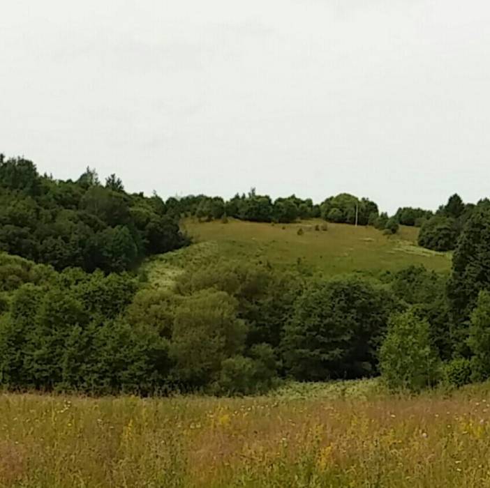 По сохранившейся информации панский фальварак располагался на этой горке.