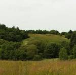 From the album of the nowadays views