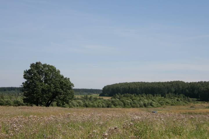 Вид из Сивцево на Замошье от дома Репины (возле кладбища)