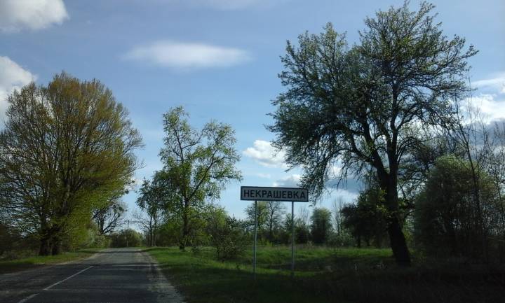 Въезд в д. Некрашевка 