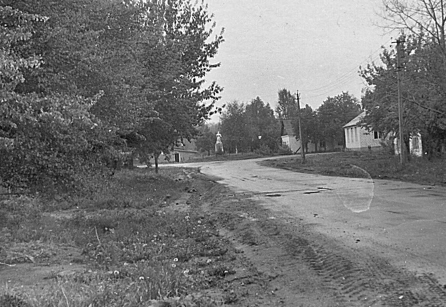 Улица в деревне Савичи