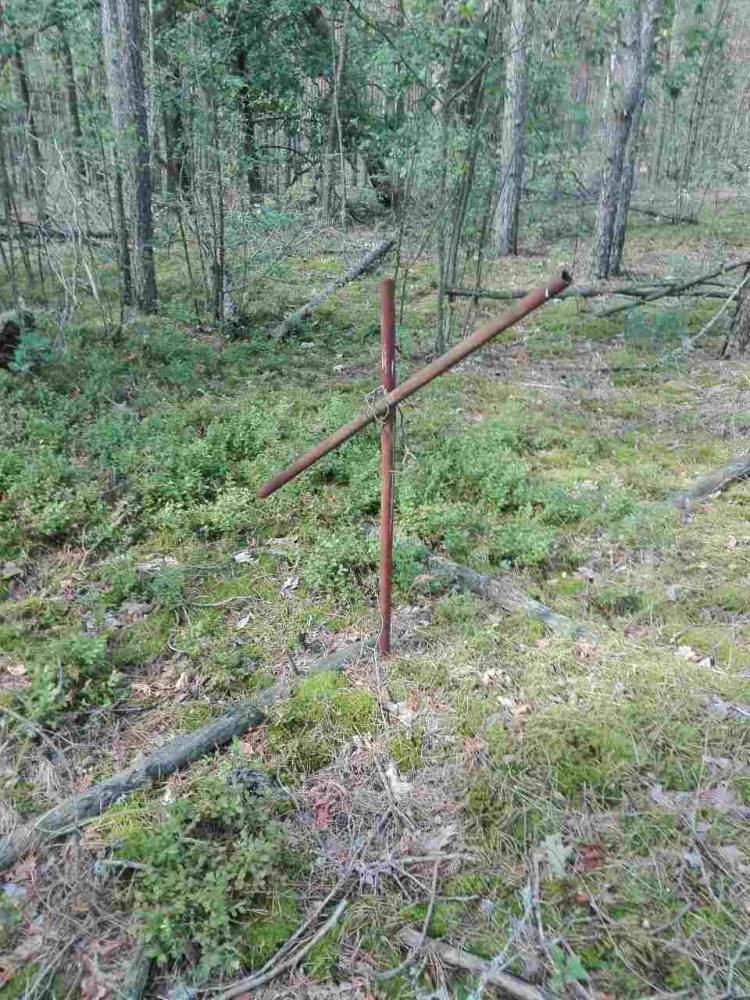старое кладбище на хуторе Усох