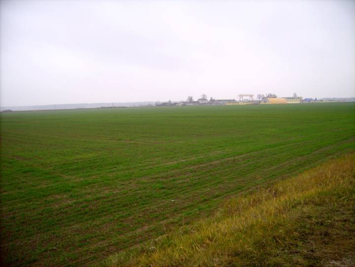 Bliska okolica Sauguć.