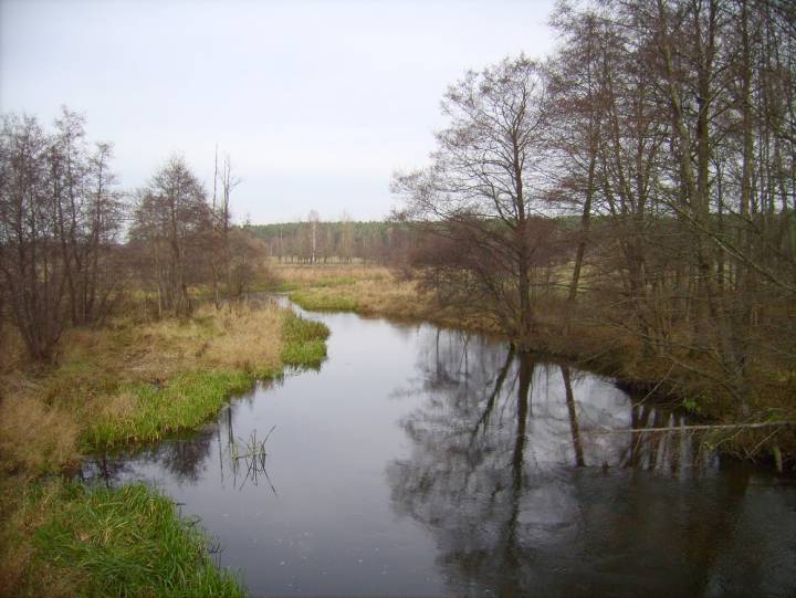 Gawia i wpadająca do niej Matruna. Widok z mostu a Gawii.