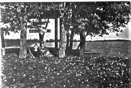 Zabytkowy krzyż przy drodze z majątku przez Dębinę do Sobotnik. Według legendy postawiony na mogile żołnierzy Napoleona, którzy w czasie odwrotu spod Moskwy w 1812 r. masowo ginęli wskutek silnych mrozów. Kserokopia zdjęcia