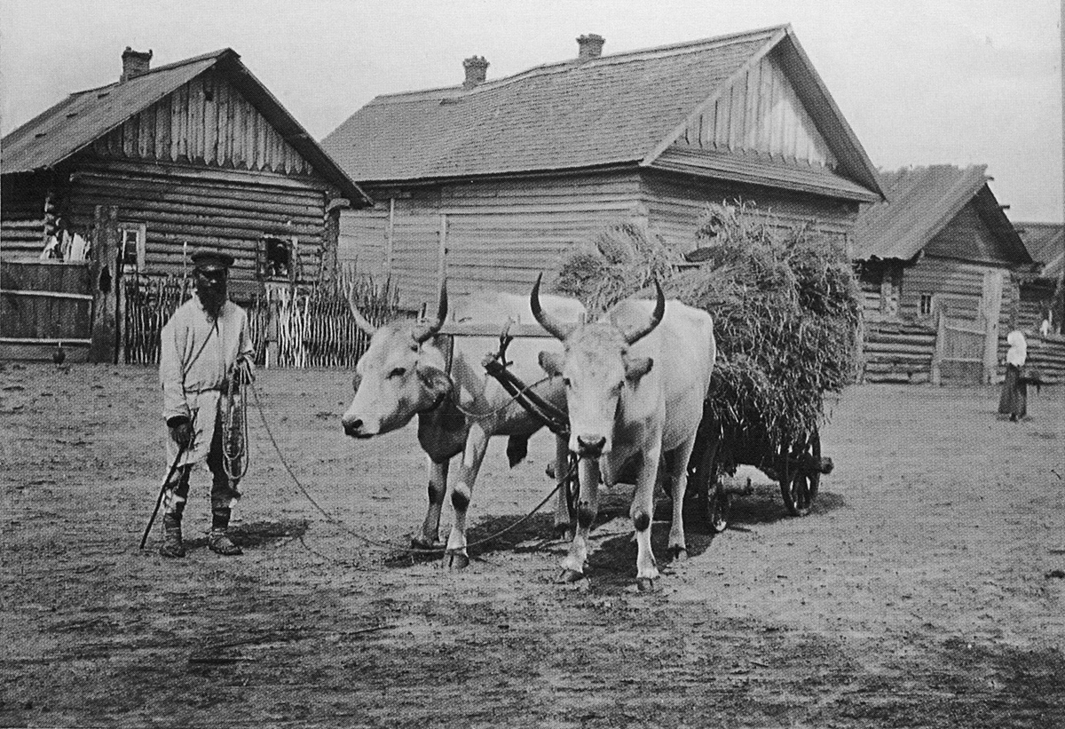 1912 год<br>Фотограф Исаак Абрамович Сербава.<br> 