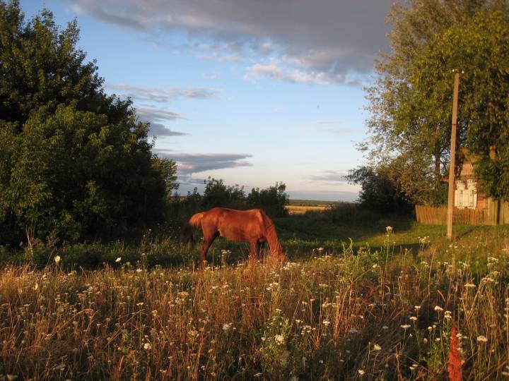 ул. Первомайская