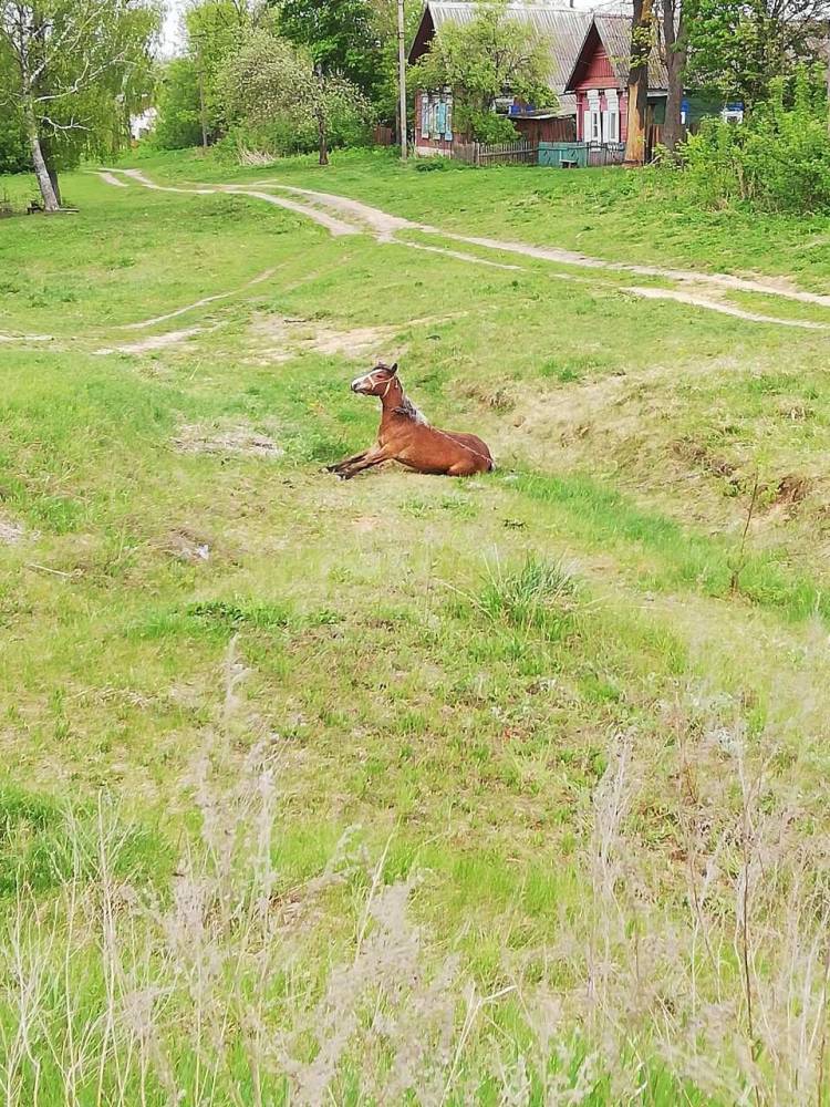 ул. Советская