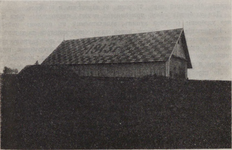 З альбому з архіўнымі здымкамі