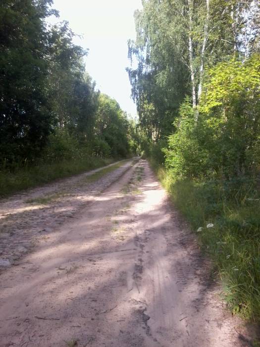 Старая дорога Хотенчицы - Илья