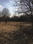 З альбому здымкаў з сучаснымі відамі