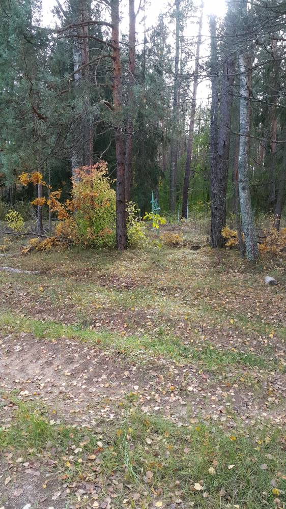 Кладбище д. Хотище