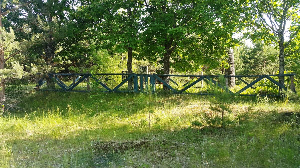 Братская могила, июнь 2018