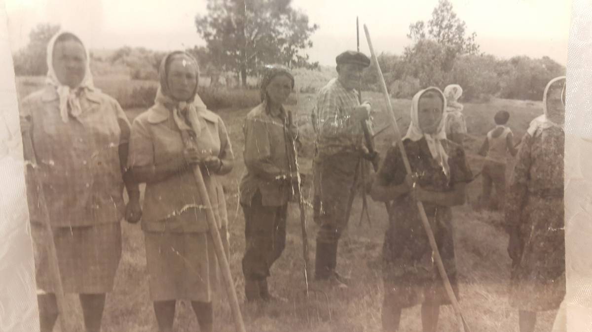 Хотище. Сенокос в колхозе.