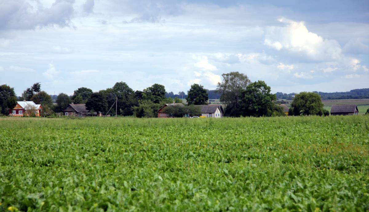 dawne Szawry - obecnie oznaczone jako Nowosady