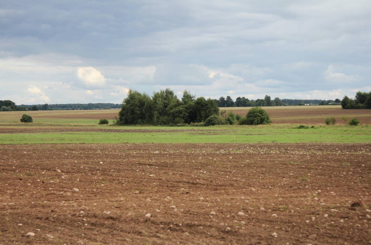 Zagajnik w miejscu dawnego folwarku Talmonty