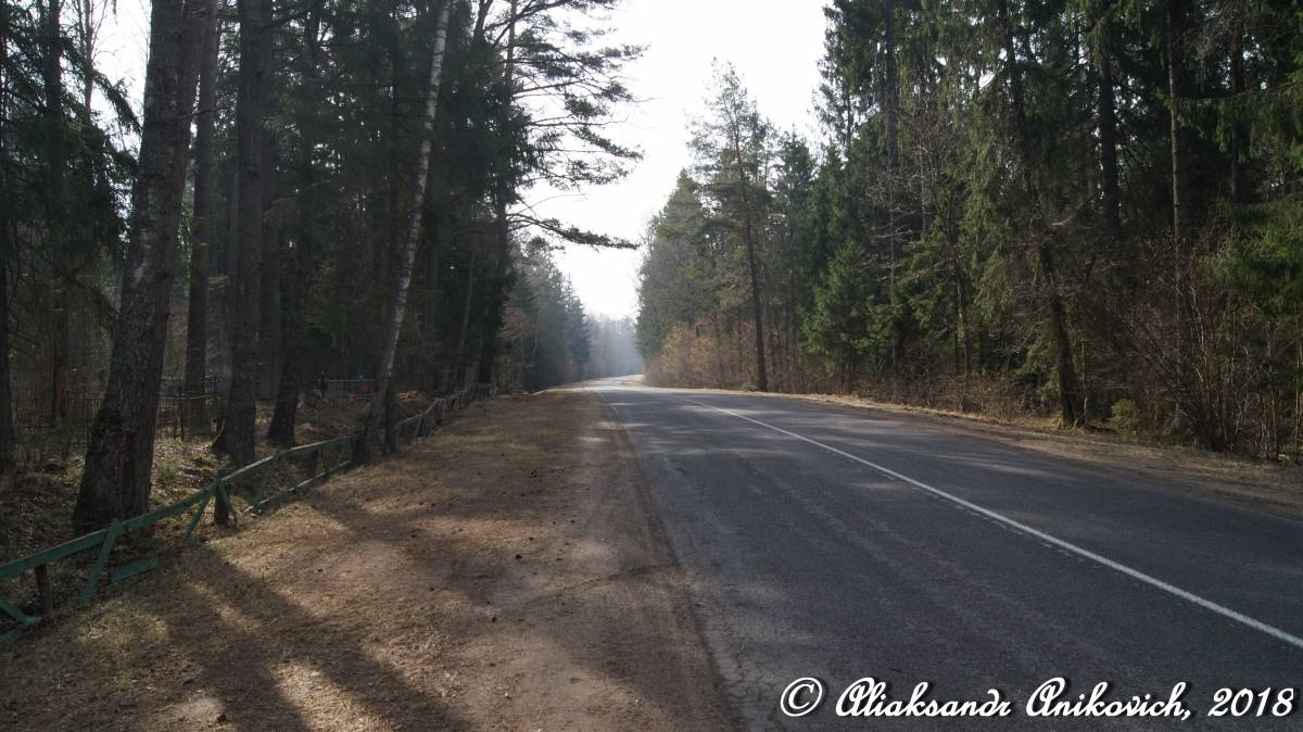 Дорога Р62. Чашники — Бобр — Бобруйск. Участок дороги между Черея - Бобр: https://www.youtube.com/watch?v=oHijBJlzKPE