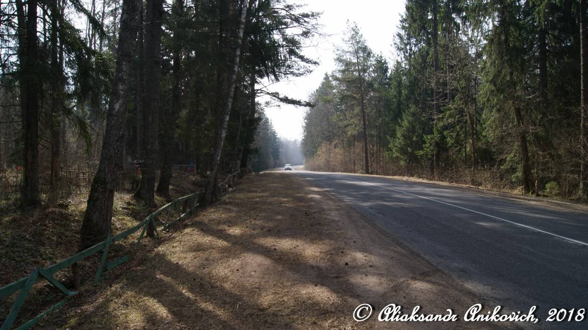 Дорога Р62. Чашники — Бобр — Бобруйск. Участок дороги между посёлок Черея - посёлок Бобр: https://www.youtube.com/watch?v=oHijBJlzKPE