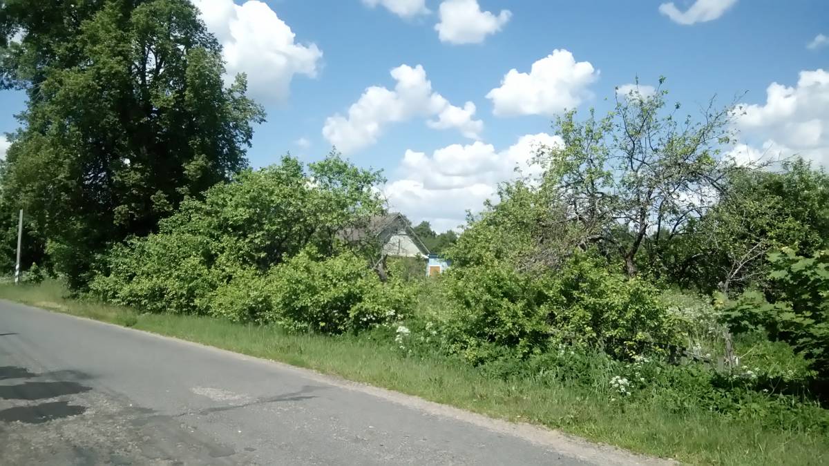 Малая Родина деревня Осечино Крупский район Минская область.<br>Видео деревня Осечино с картой местности: https://m.youtube.com/watch?v=1W5R2LBhAsc