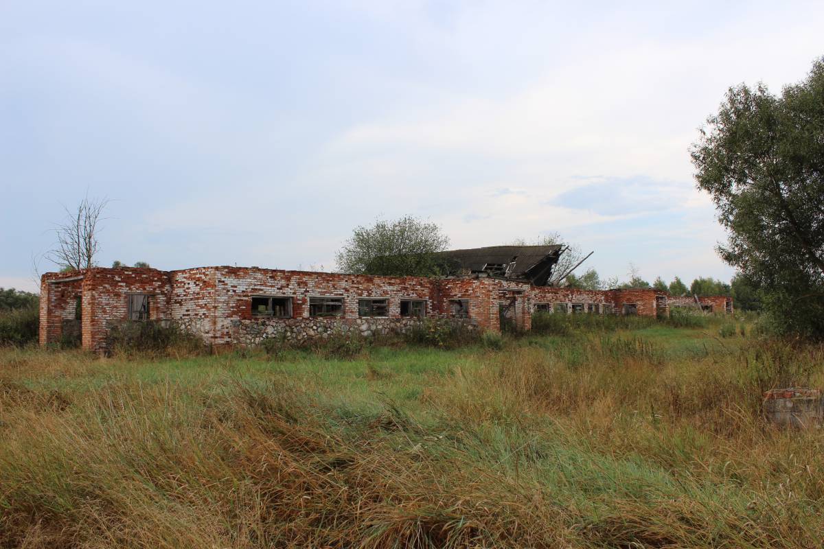 То, что осталось от коровника.<br>Медведево. 