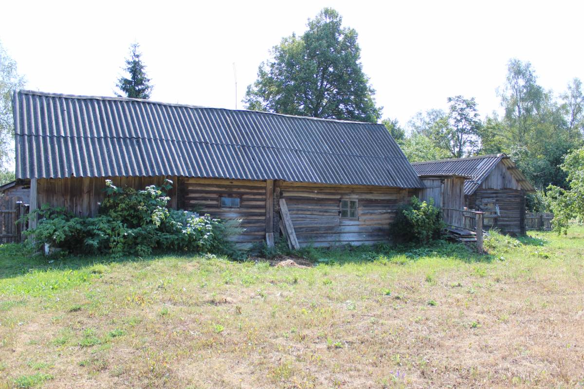 Коровник и курятник.
