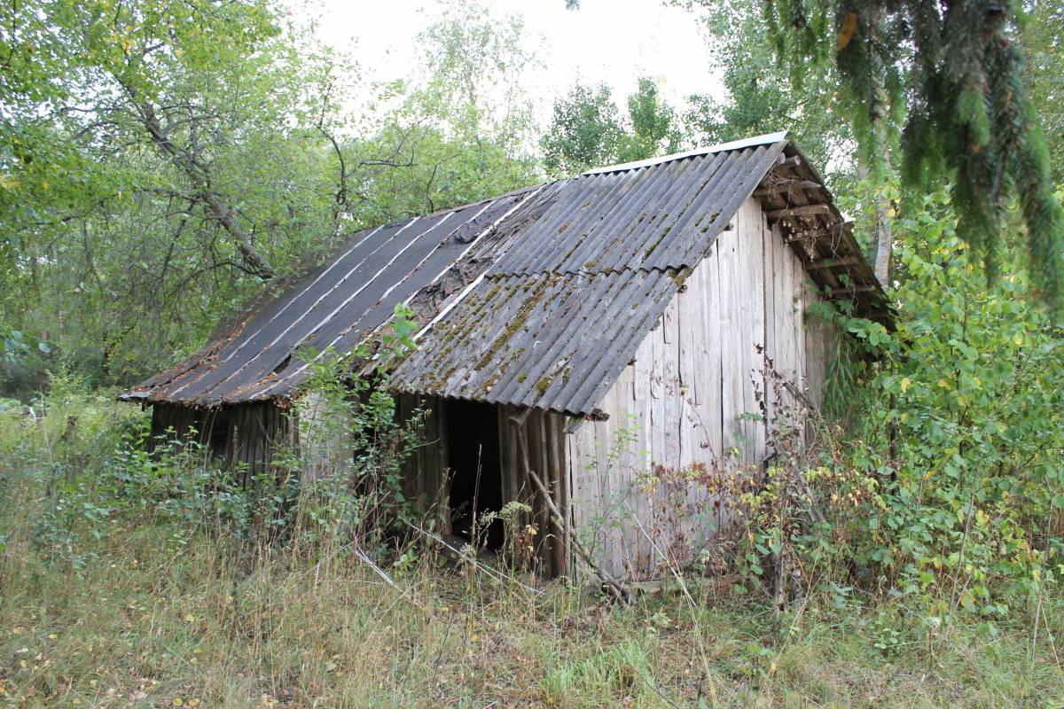 Заброшенная рига (гумно).