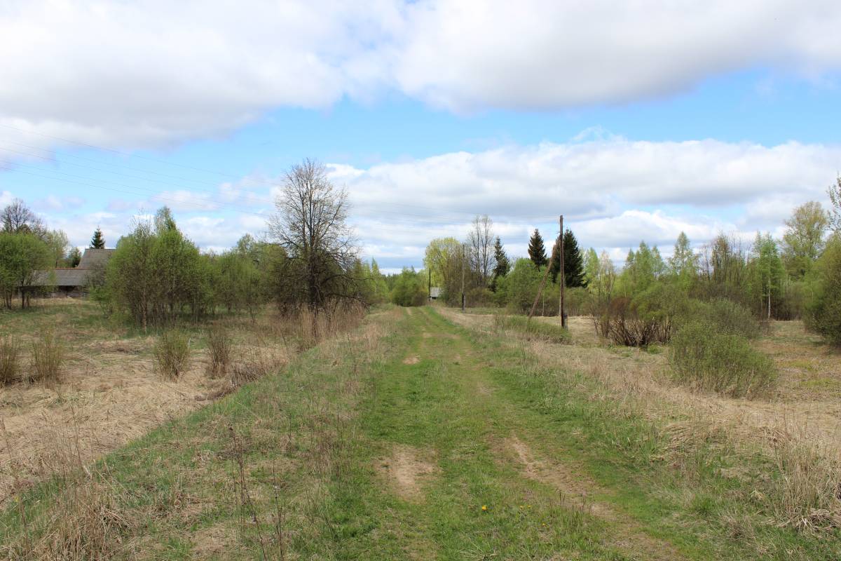 Дорога в деревню от коровника.