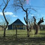 From the album of the nowadays views