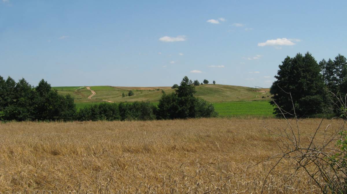  Miłaszewo, village (Negnevichskiy selsovet).   .