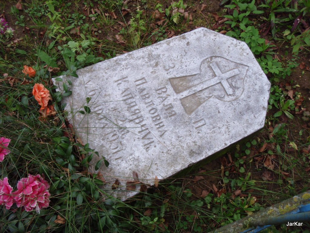 Cmentarz Sołowje 2008r.