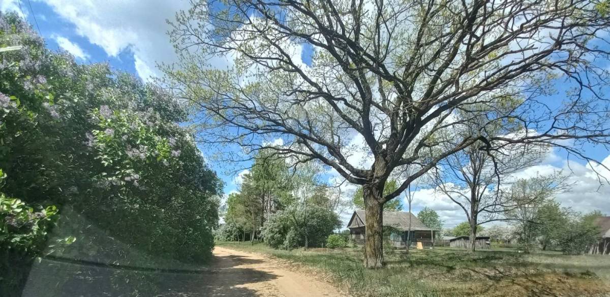 Сучасныя краявiды