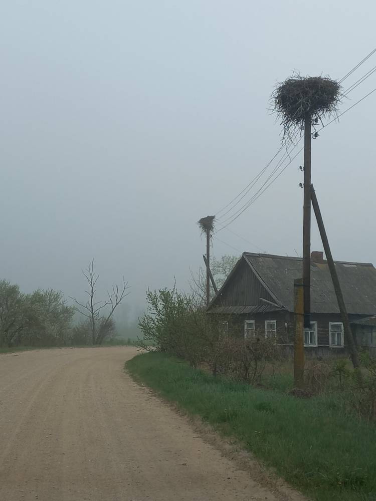 общий вид улицы д. Стасюки