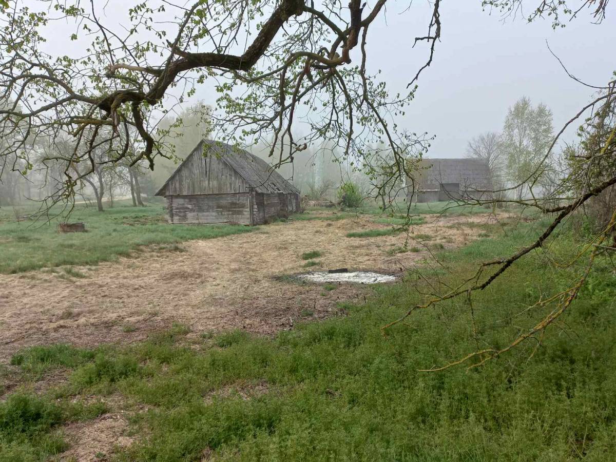 Общий вид старого двора с довоенными постройками
