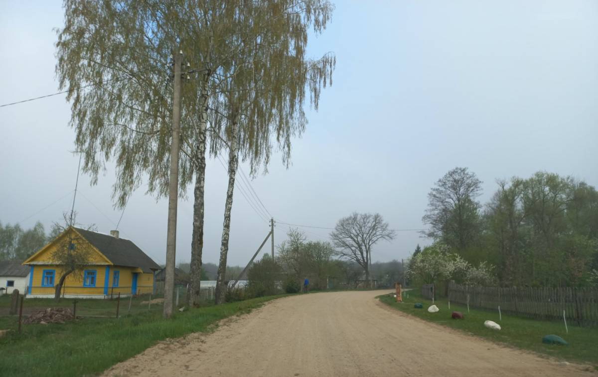 общий вид ул. д Заужовье