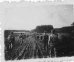 From the album of old pictures