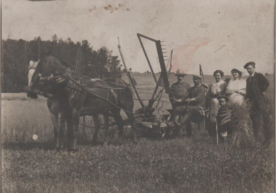 Prace rolne w majątku Dubniki w 1913 roku. 