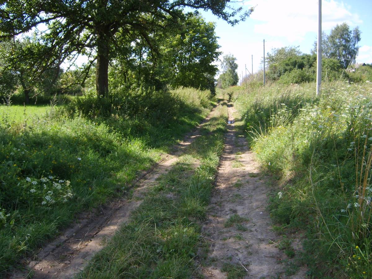 Гродненская область, Кореличский район, деревня Щёново. Клин.