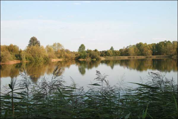 Były staw dworski. <br>Foto www.radzima.org