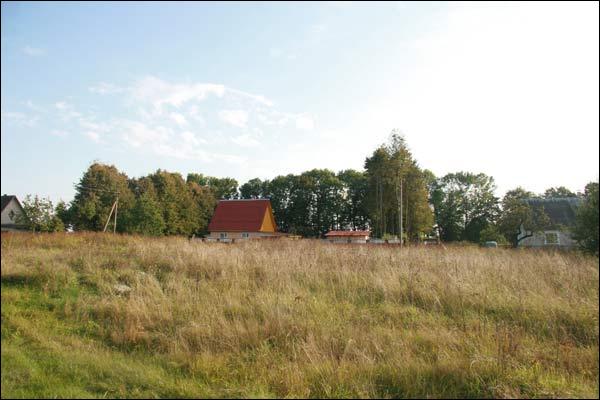 ostatki parku za siedzibą Wołłowiczów. <br>Foto www.radzima.org