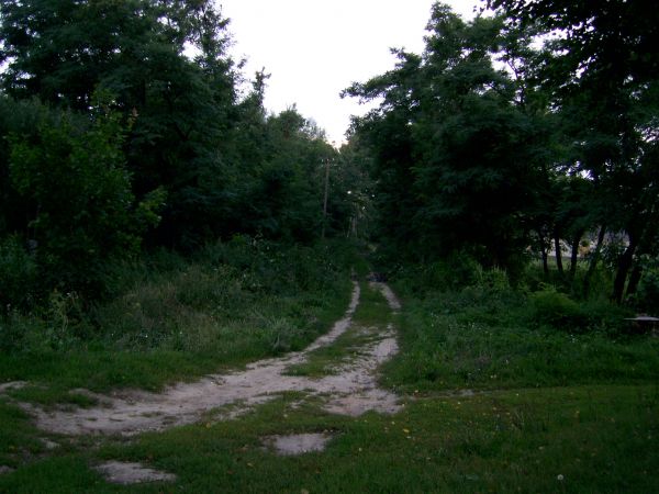 Панскія прысады