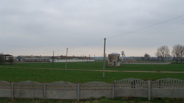Хвоева