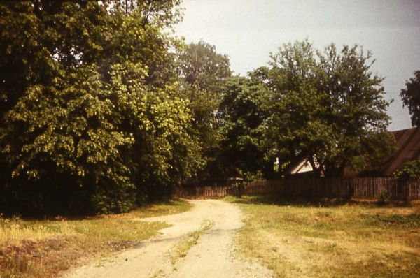 Дом Вікенція Таркоўскага. 80-я гг.