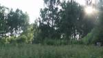 З альбому здымкаў з сучаснымі відамі